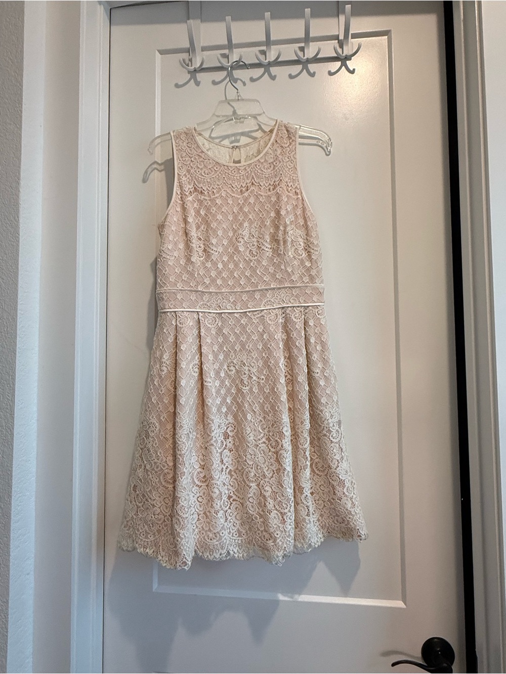 Vince Camuto Blush Lace Overlay Dress Sz 12